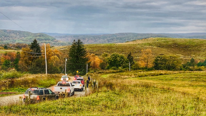 Elk Viewing 1