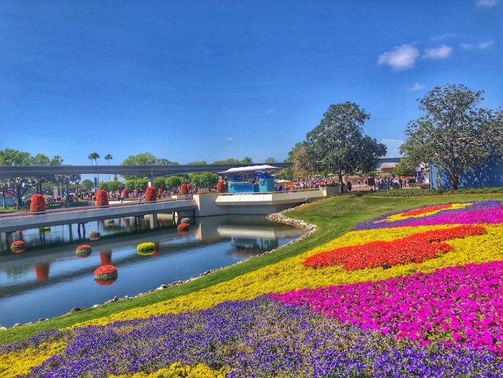 Epcot Flower and Garden Festival Blooms