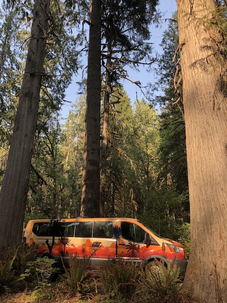 Escape Campervan in National Forest