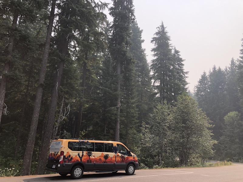 Escape Campervan in parking lot next to tall pine tress