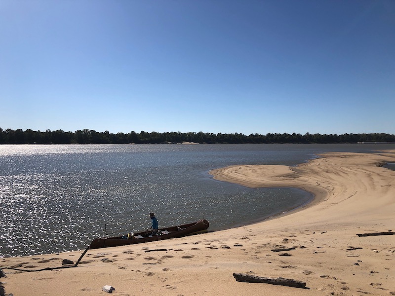 Exploring a sandy beach area along the mississippi river