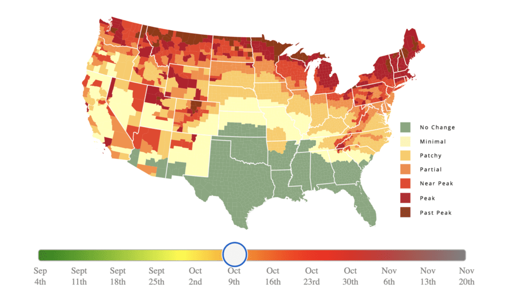 Fall Color Map Michigan 2023