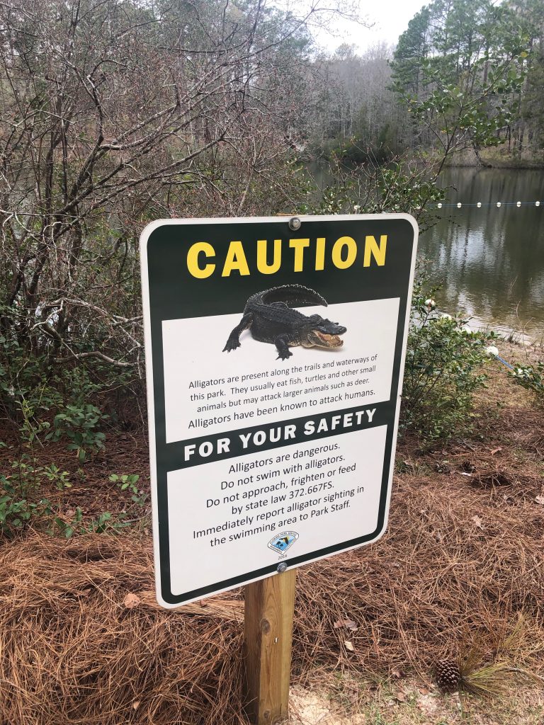 Photo of a Caution Alligator Sign at Falling Waters.
