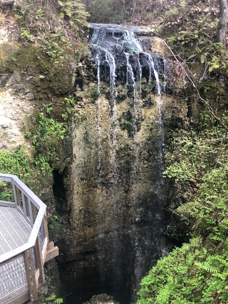 Photo of a waterfall at Falling Waters SP.