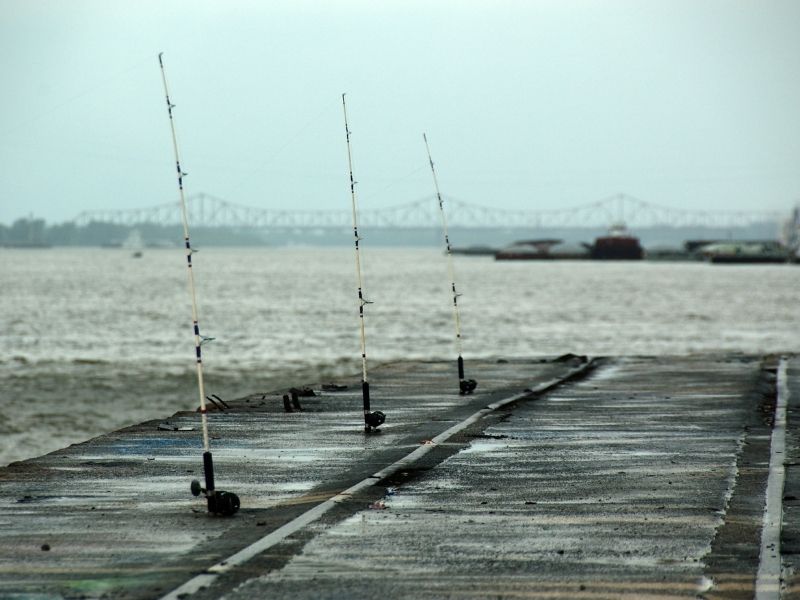 Fishing poles along the mississippi river