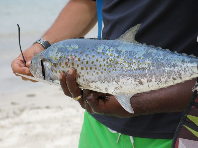 Fishing in Panama