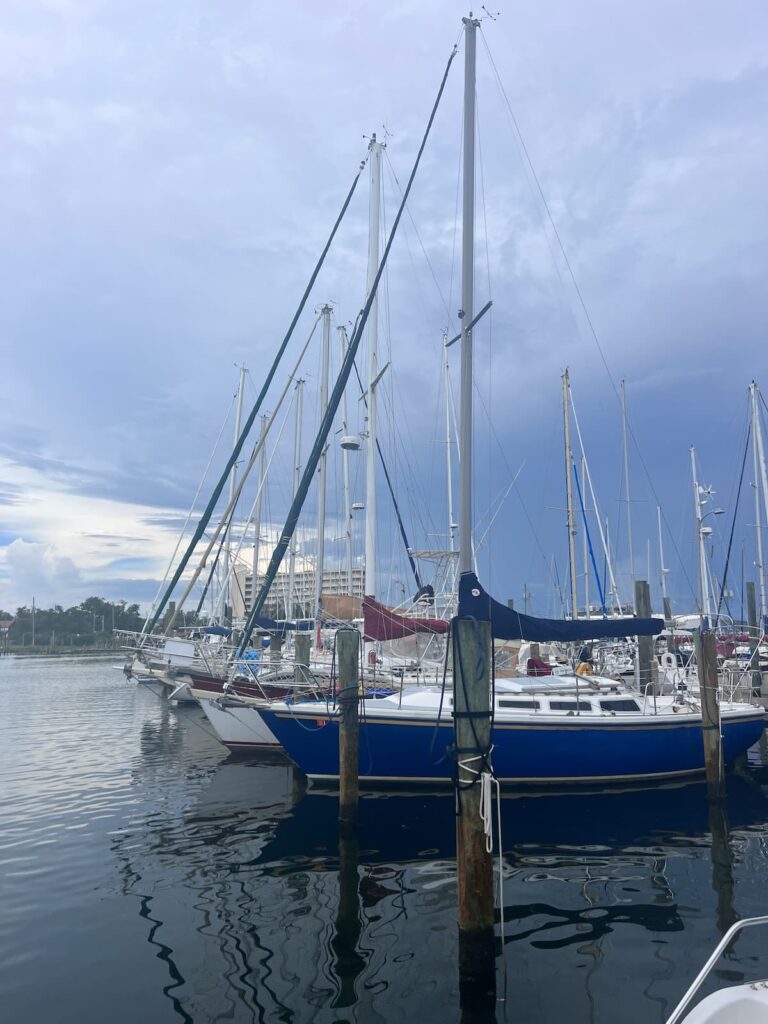 Flippin Awesome Adventure Eco Tour Panama City.