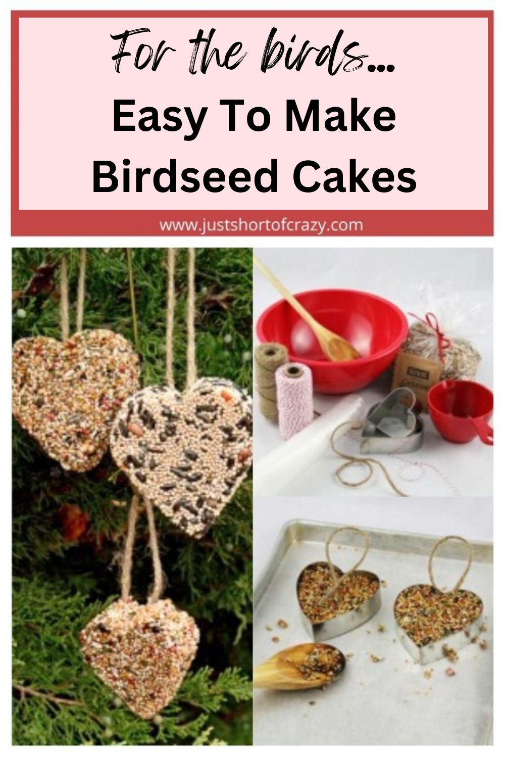 For the birds... Easy To Make Birdseed Cakes