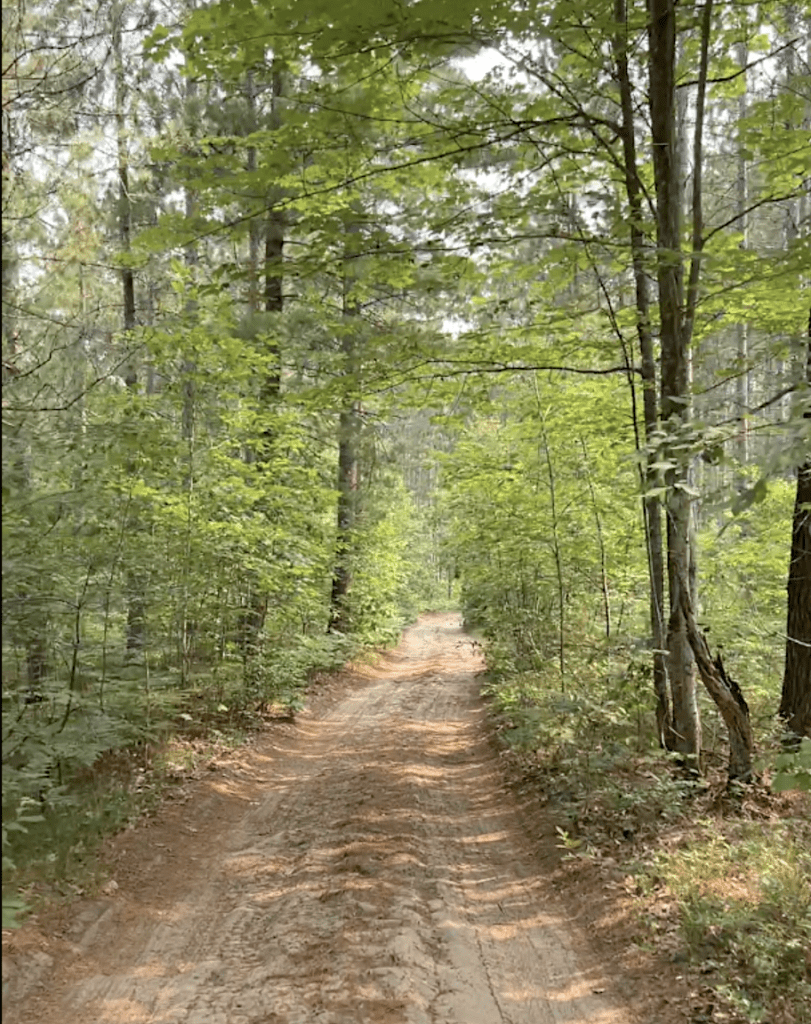 Forested cadillac michigan ORV trail