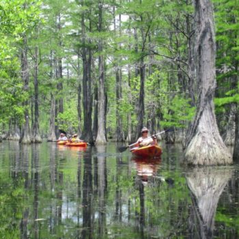 George-L.-Smith-State-Park-Kayak
