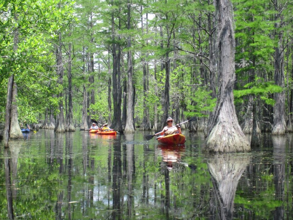 George-L.-Smith-State-Park-Kayak