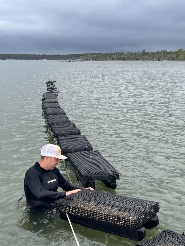 Ghost fleet oyster co farm