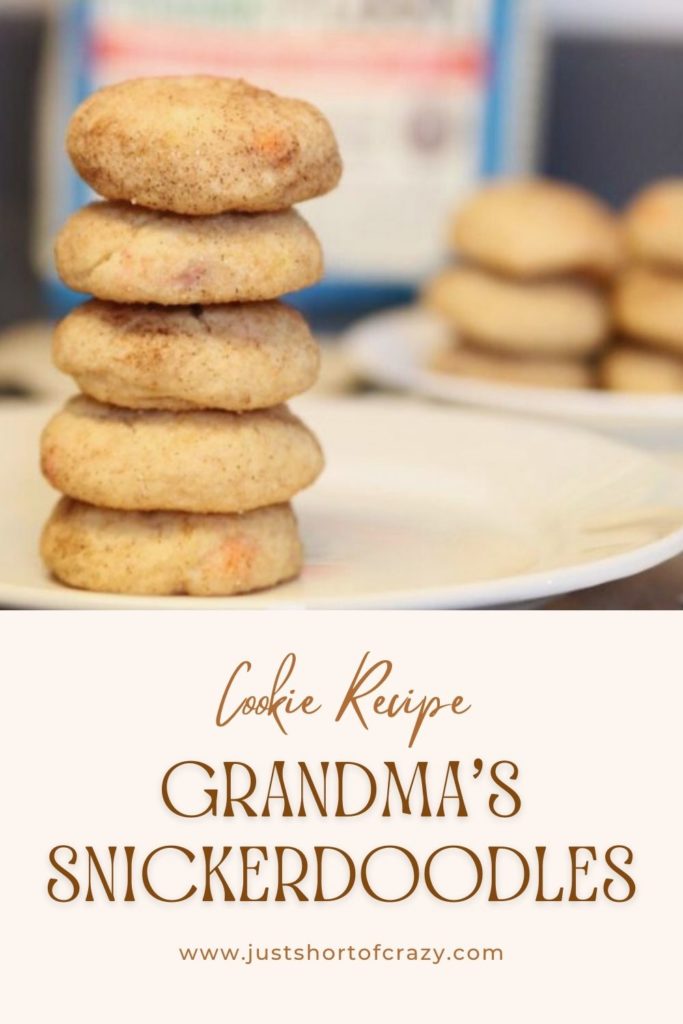 Grandma's Snickerdoodle Cookies With A Twist Just Short of Crazy