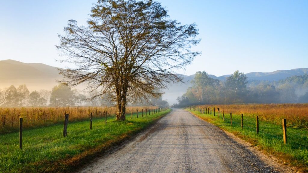 Great Smoky Mountains National Park country roads.