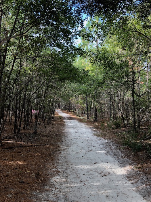 Hammock Beach State Park