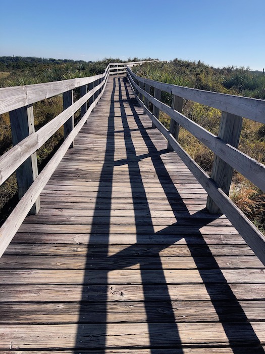 Photo of a boardwalk at Jonathan Dickinson State Park.