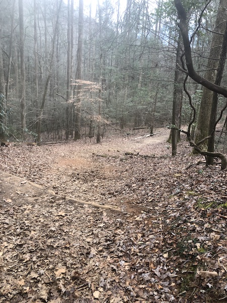 Hiking trail near helen ga