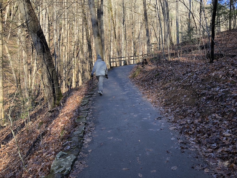 Hiking trails helen ga