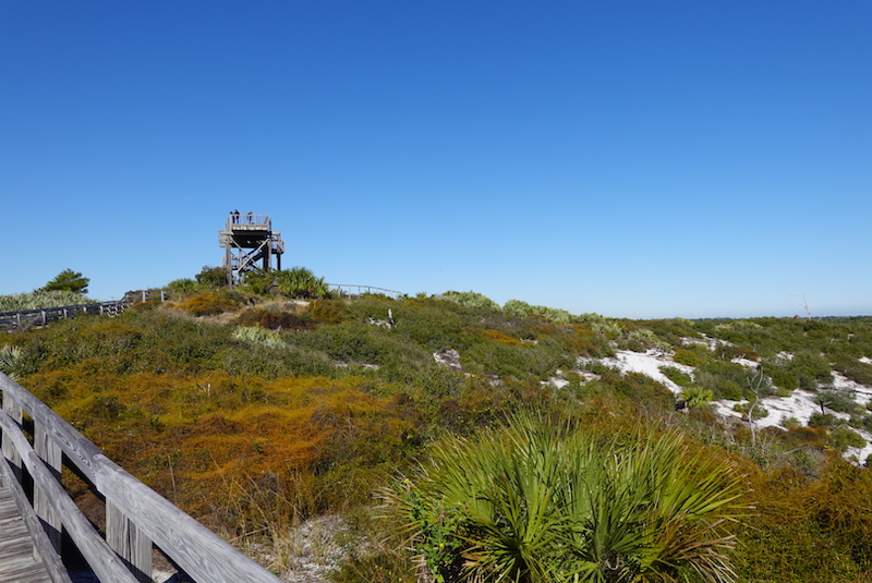 Photo of an overlook tower at Jonathan Dickinson SP.