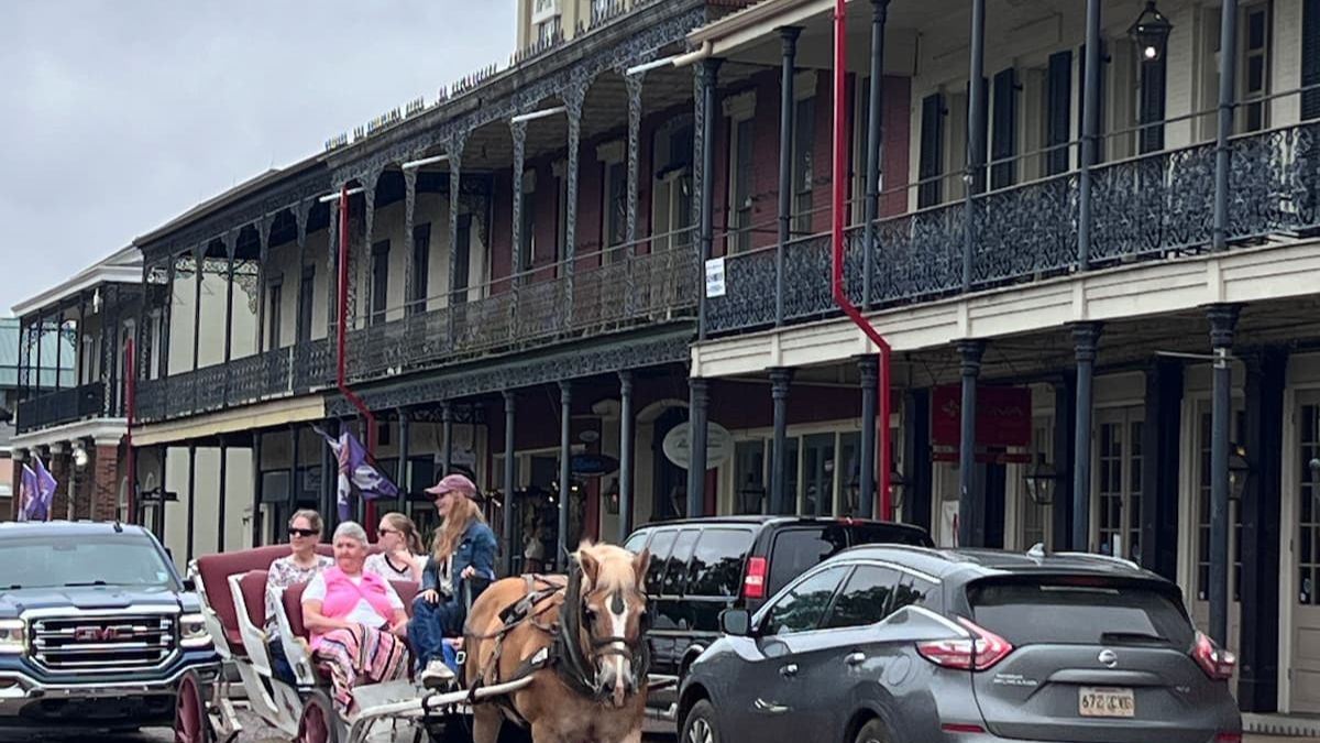 Horse Drawn Carriage Ride Natchitoches