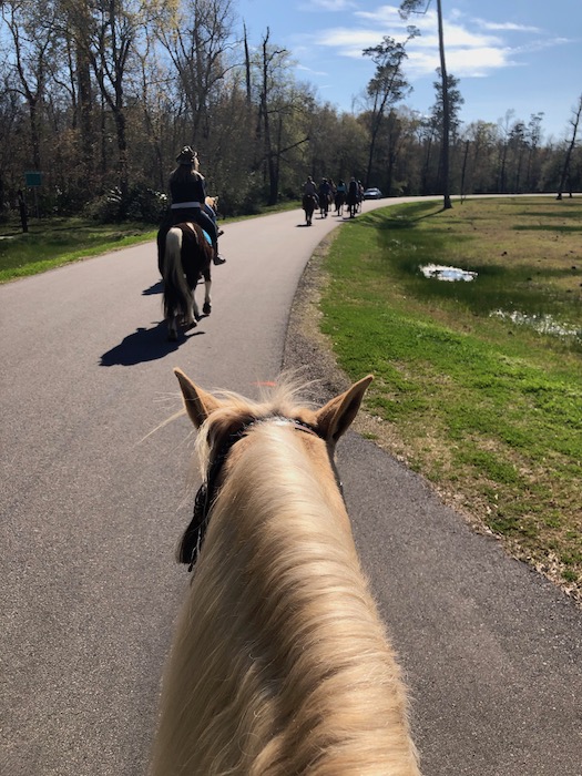 horseback ride at tyrell stables in beaumont tx