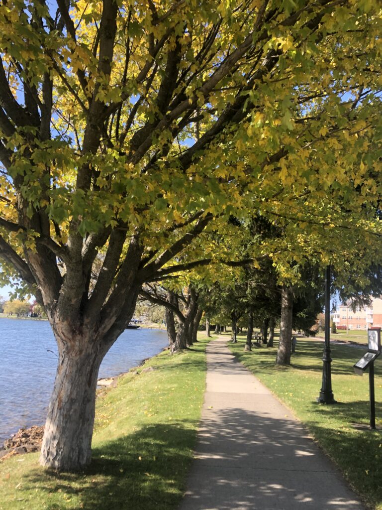 Top Things to Do in Cadillac, Michigan: A Local’s Guide to Outdoor Adventures, Farms, and Hidden Gems