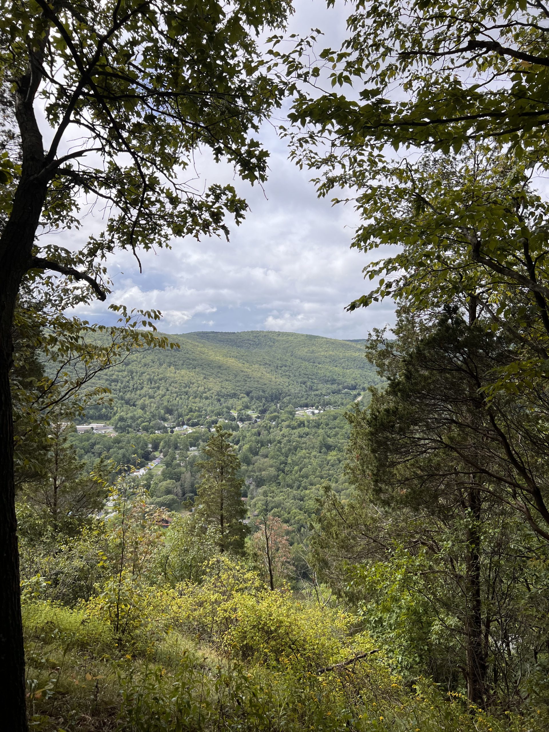 Tanglewood Nature Center scenic view from the Mark Twain trail