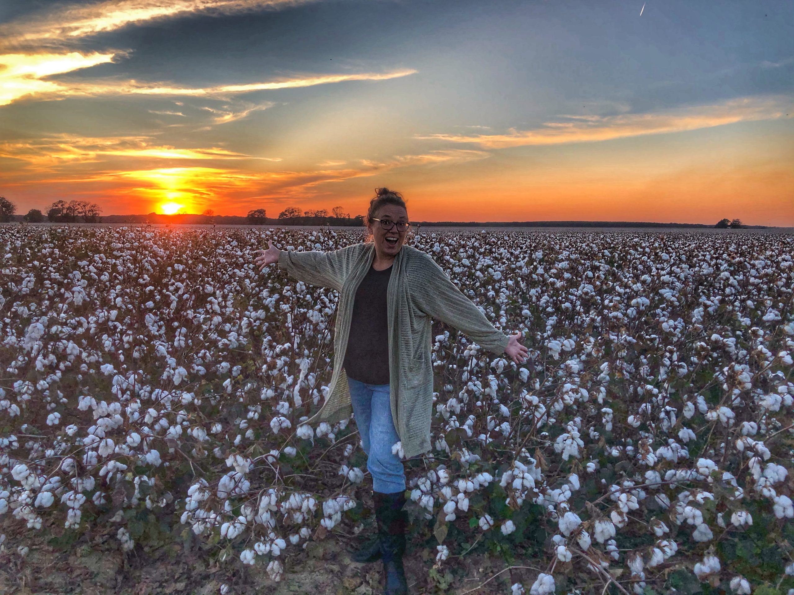 Cotton Fields Sunset in Mississippi