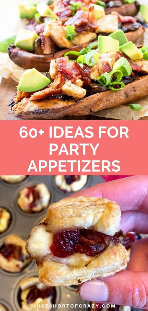 60+ Ideas for Party Appetizers - Just Short of Crazy