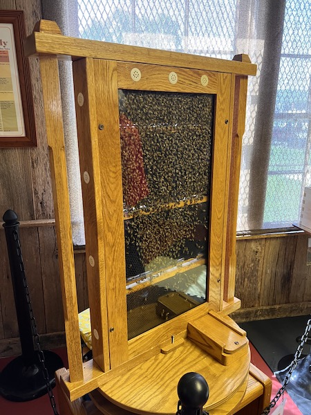 Indoor Behive