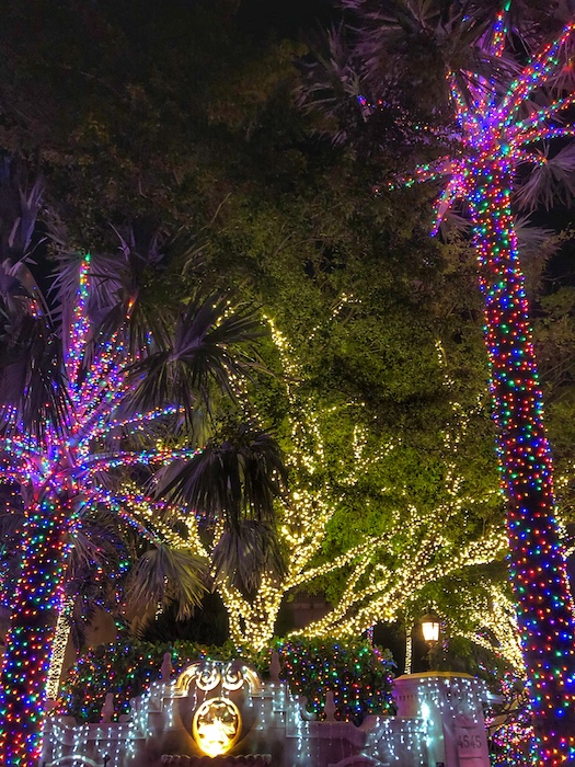 Jensen Beach Mansion Christmas Lights 3