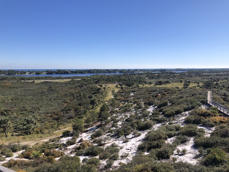 Photo of the scenery at Jonathan Dickinson SP.