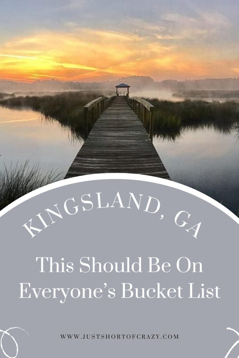 4 Reasons Why You're Going To Want To Visit Kingsland