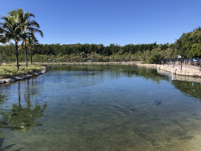 Lagoon at Florida Oceanographic Society in Florida