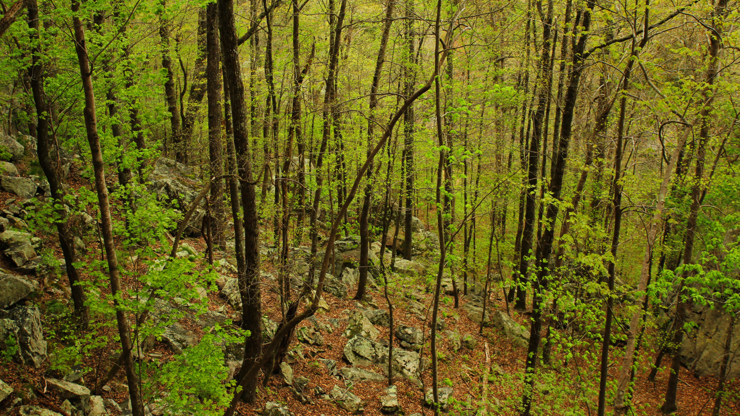 Little River Canyon