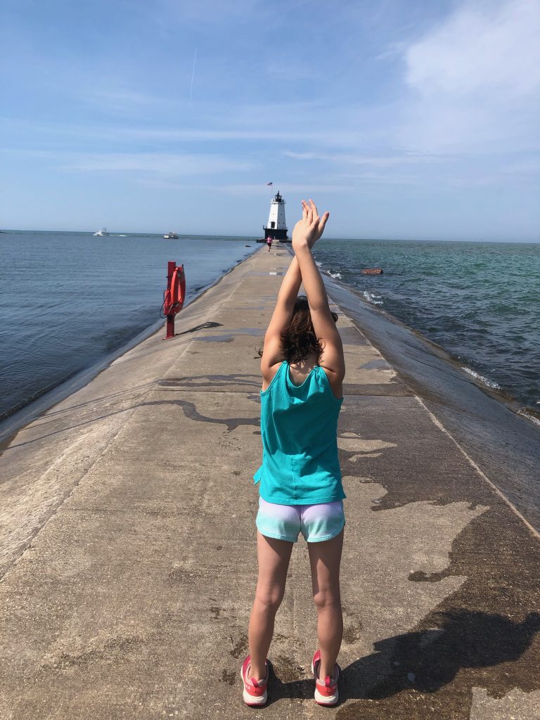 Ludington north breakwater lighthouse