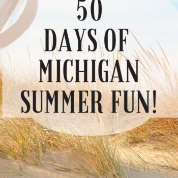 MICHIGAN SUMMER FUN PIN