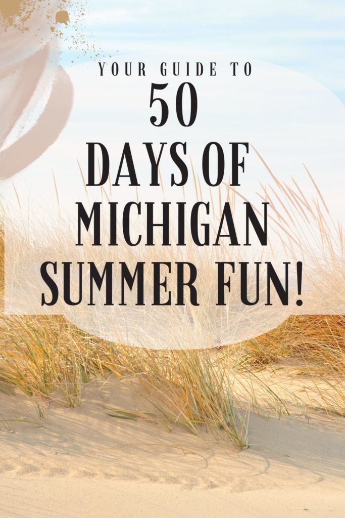 MICHIGAN SUMMER FUN PIN