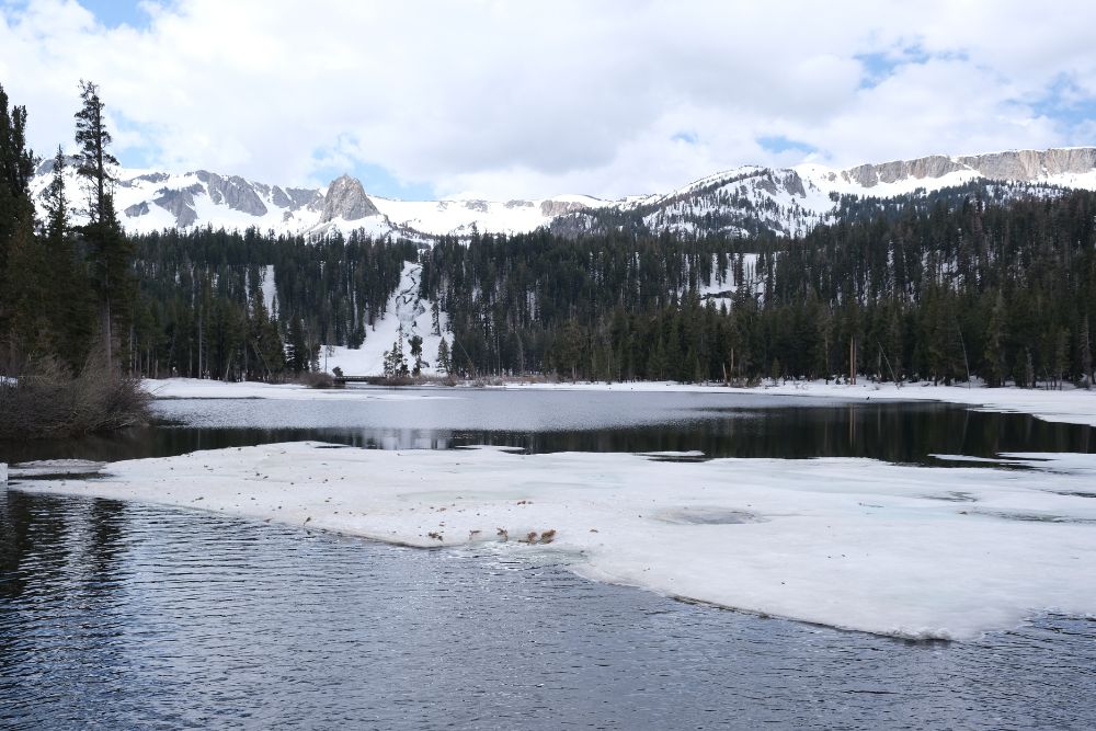 View of Twin Lakes in Mammoth CA by Terri Wertman (canva)