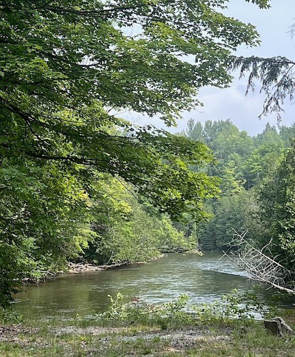 Manistee River