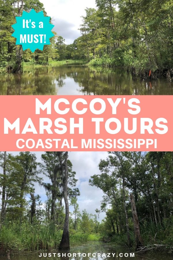 McCoys Marsh Tours