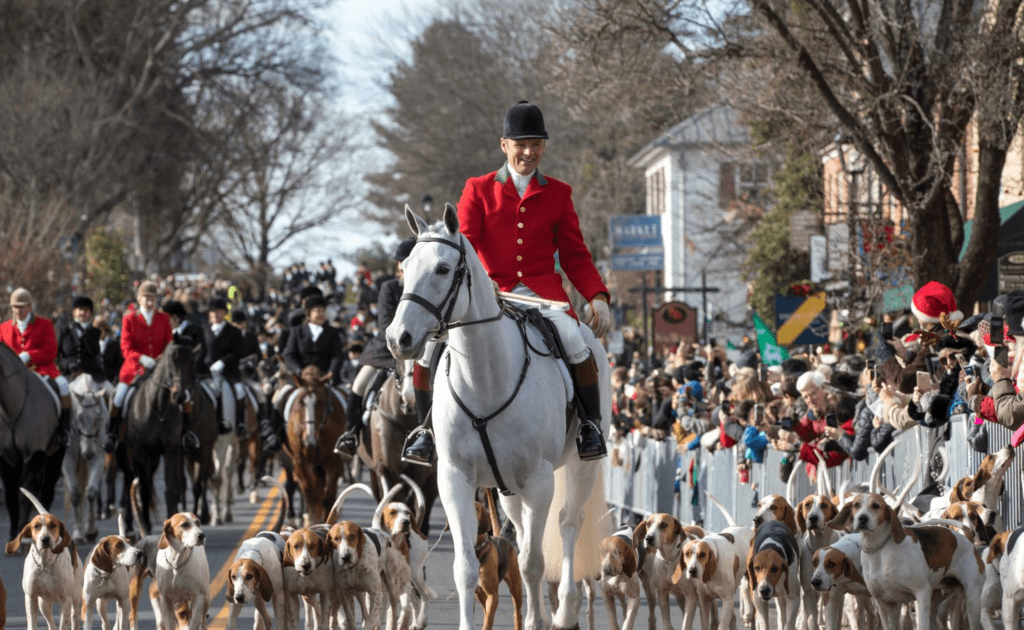 Horse and rider at the Middleburg Christmas Parade