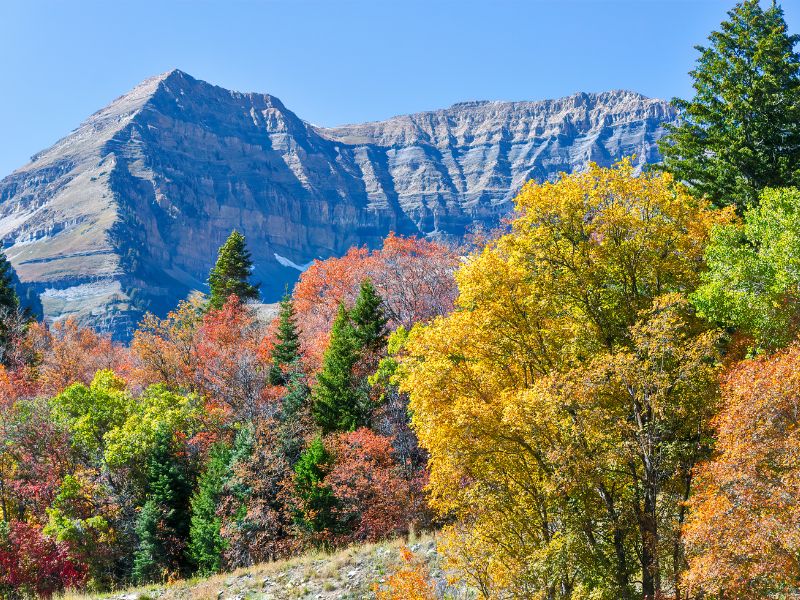 Mount Timpanogos