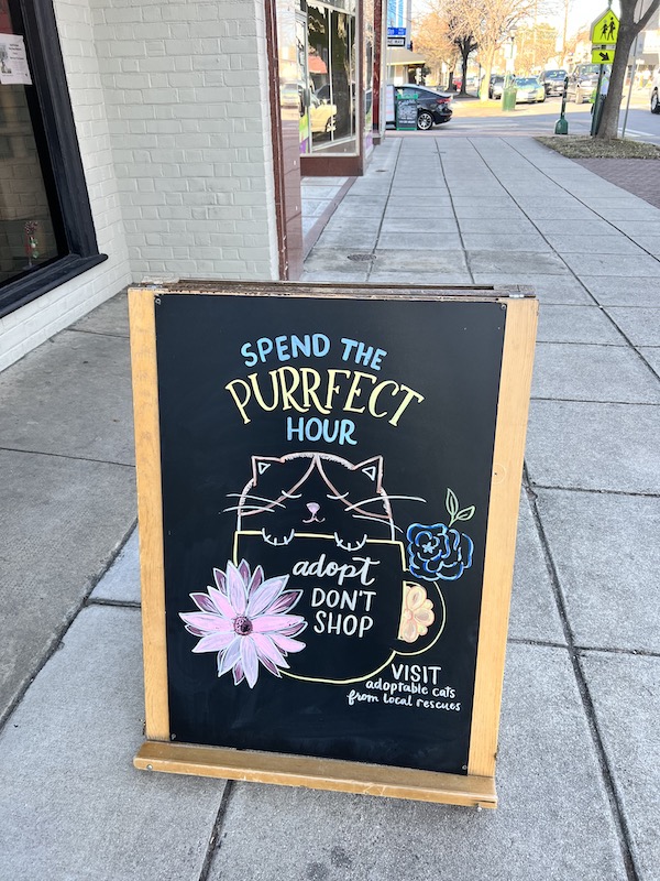 Norfolk Cat Cafe Sign