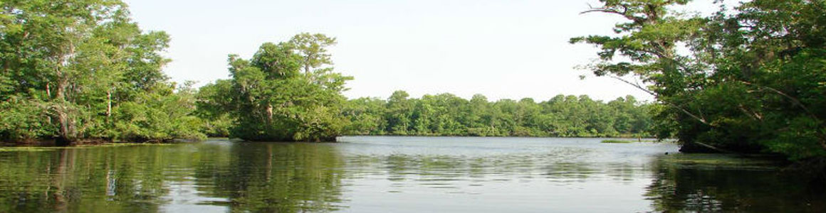 Northeast Cape Fear River