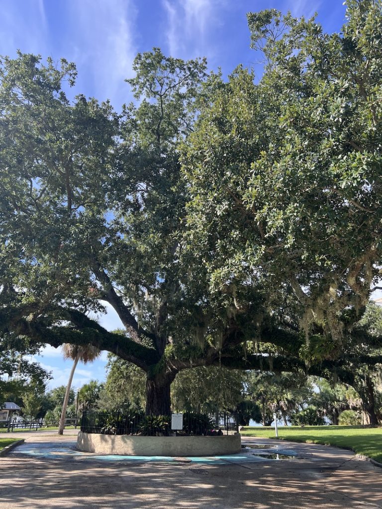 Oaks by the Bay Park.