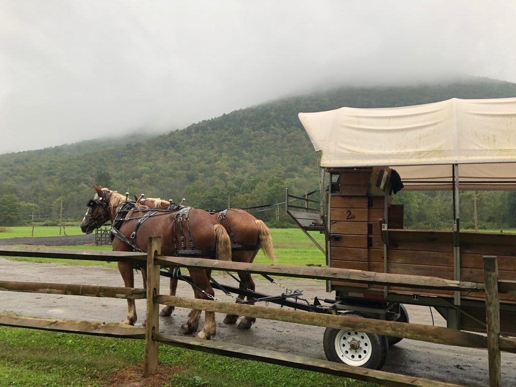 Ole Covered Wagon Tour 2