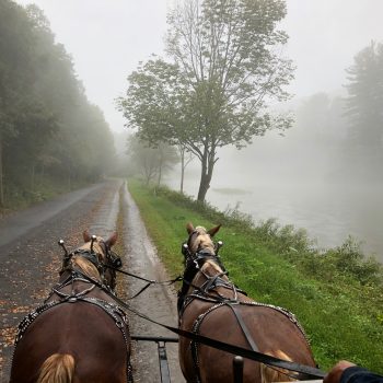 Ole Covered Wagon Tour 2