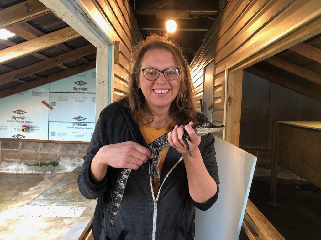 Photo of a lady holding a baby alligator. 