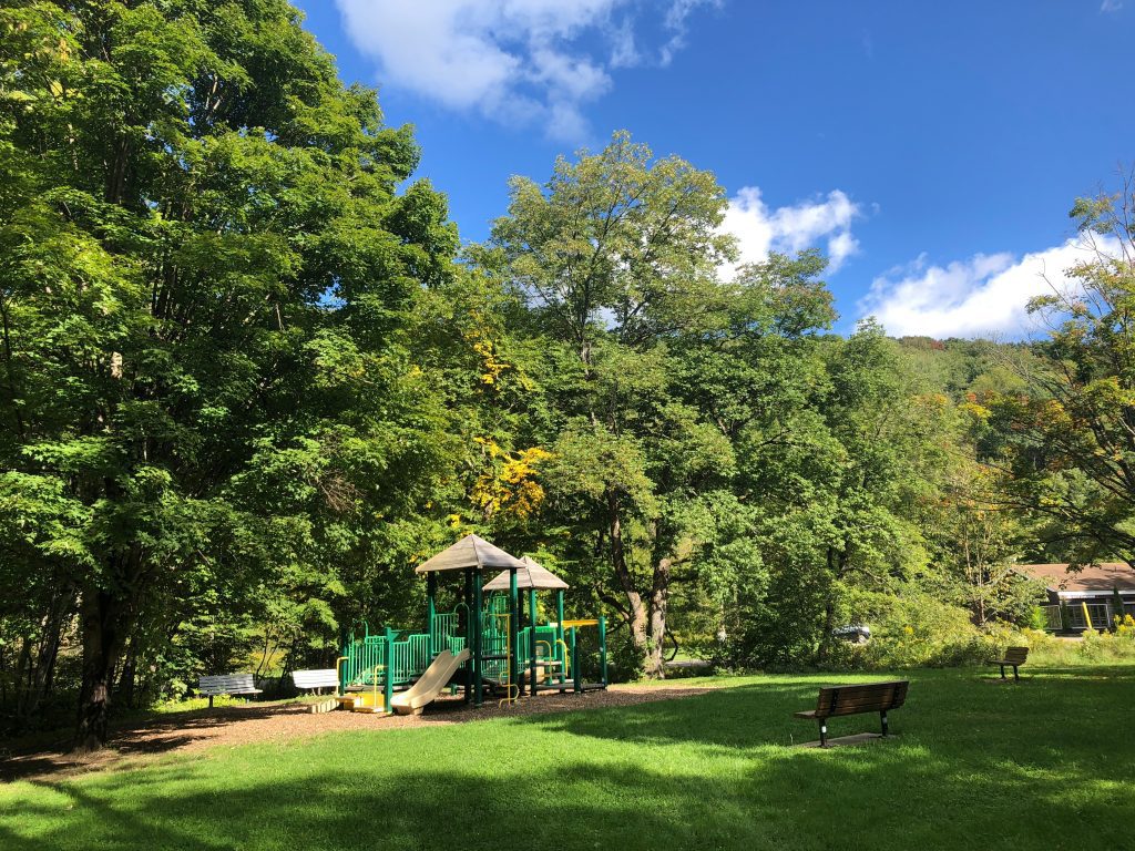 Outdoors in Allegany State Park